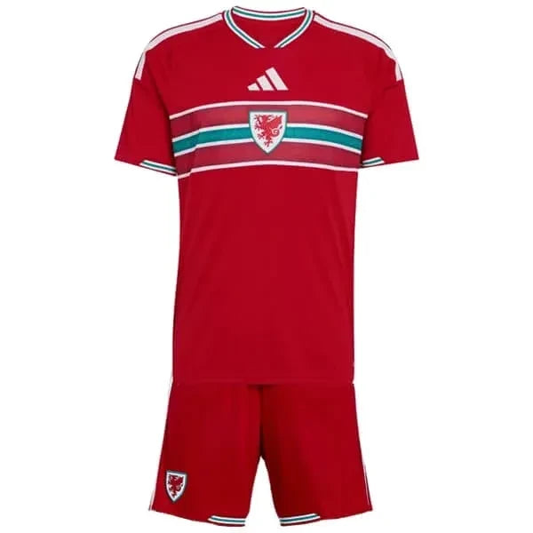 Nieuw !!! : Wales Thuistenue - Seizoen 2026/2027 Kinderen
